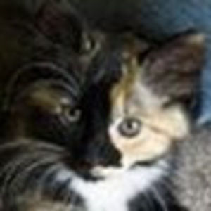 Meet your Posher, Mindy